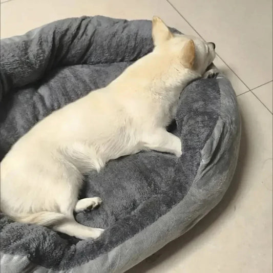 Velvet Comfort Round Bed for Cats and Small Dogs