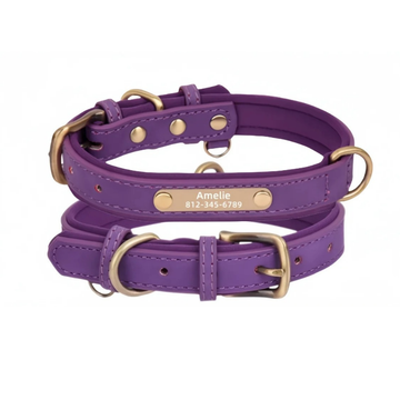 Personalised Leather Dog Collar with Free Engraving – Soft & Durable - PURPLE